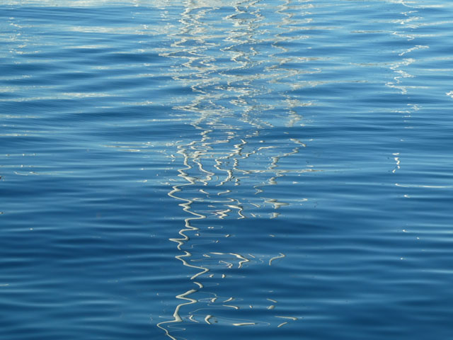 P1002994