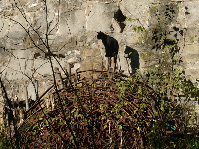 P1003001