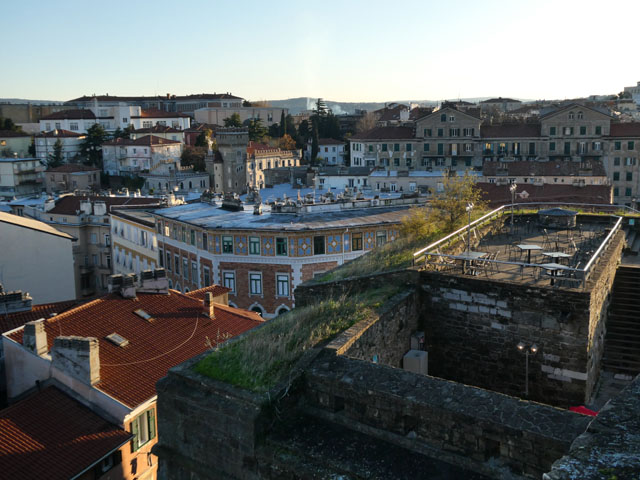 P1003032
