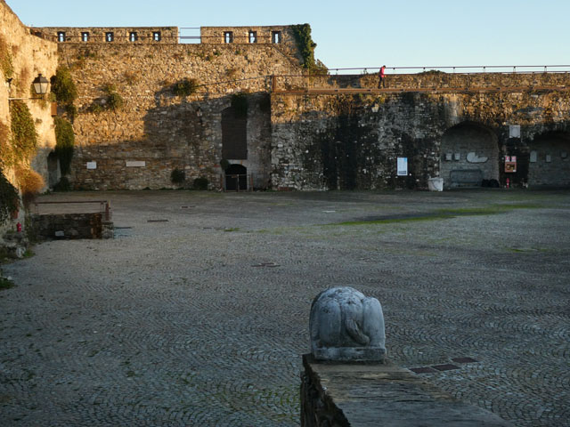 P1003042