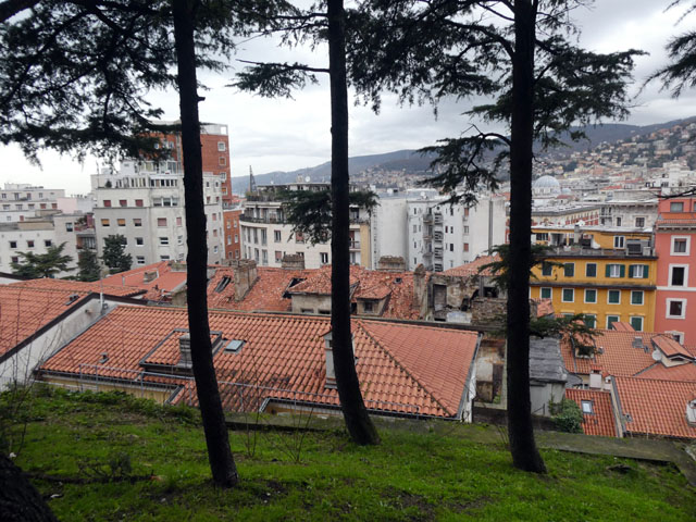 P1003061