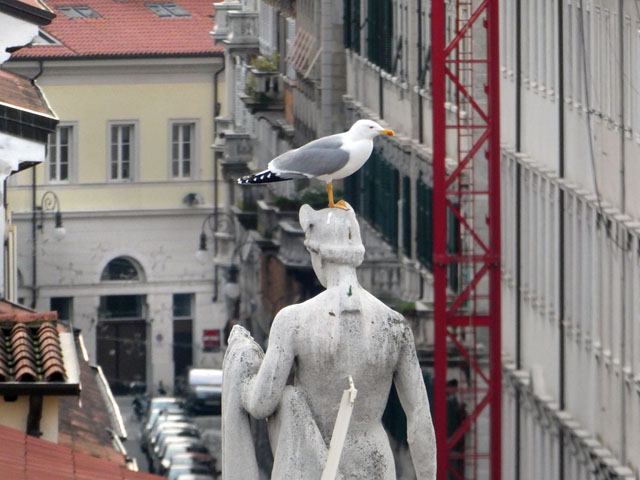 P1003079